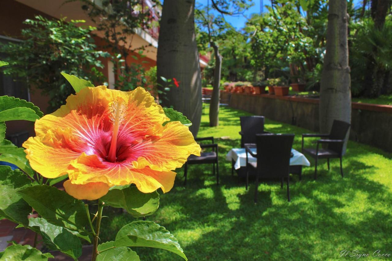 Il Signo Cocco Mare Apartment ตาออร์มินา ภายนอก รูปภาพ